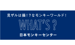 見ザルは損!?なモンキーワールド!　WHAT'S?日本モンキーセンター