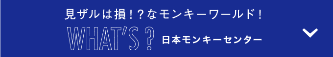 見ザルは損!?なモンキーワールド!　WHAT'S?日本モンキーセンター