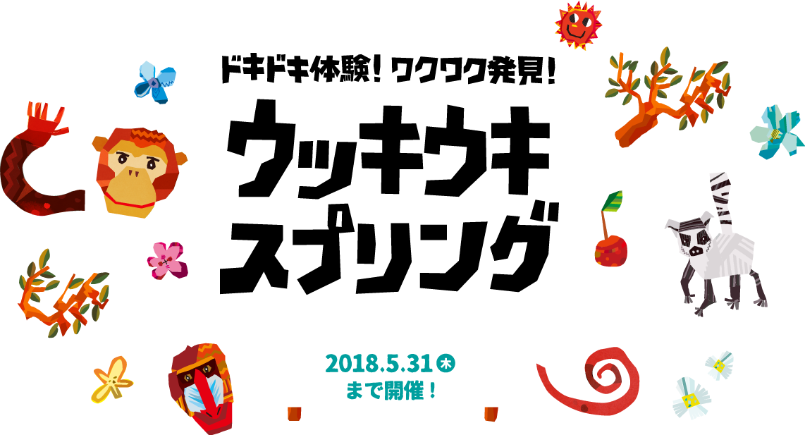 日本モンキーセンター ドキドキ体験!ワクワク発見!ウッキウキスプリング