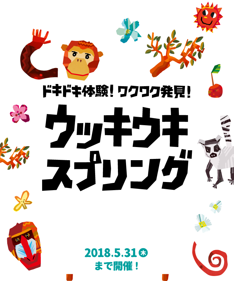 日本モンキーセンター ドキドキ体験!ワクワク発見!ウッキウキスプリング
