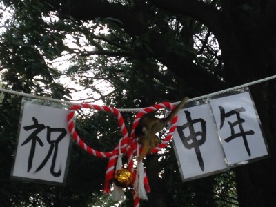 2016.1.5 063