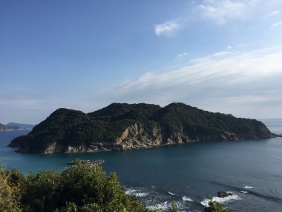幸島全体