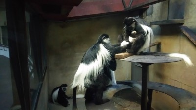 アロマザリング