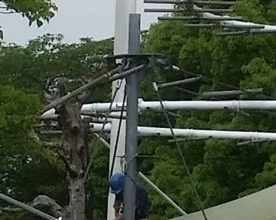ヘルメットを被った飼育スタッフ