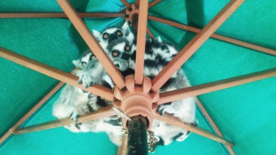 IMG_20160506_140043