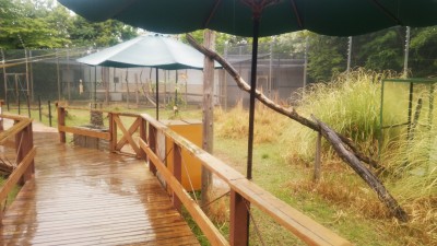 IMG_20160506_141405