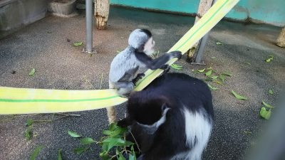 消防ホースにのる