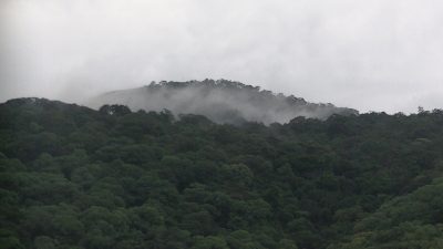 PIC_0513