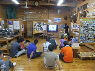 ウミガメレクチャー