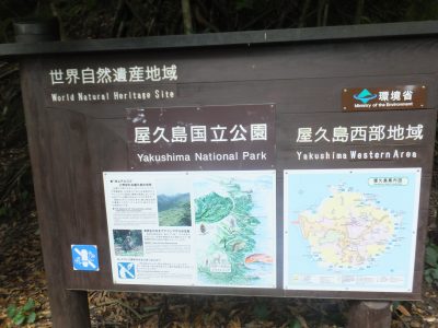 西部林道