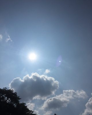陽射し