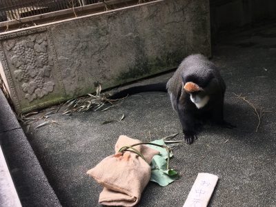 お中元3