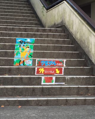 ジェフロイクモザル