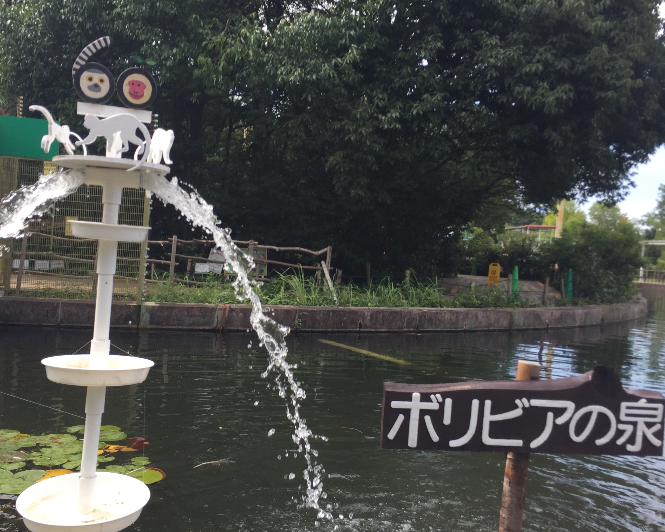 新ボリビアの泉1