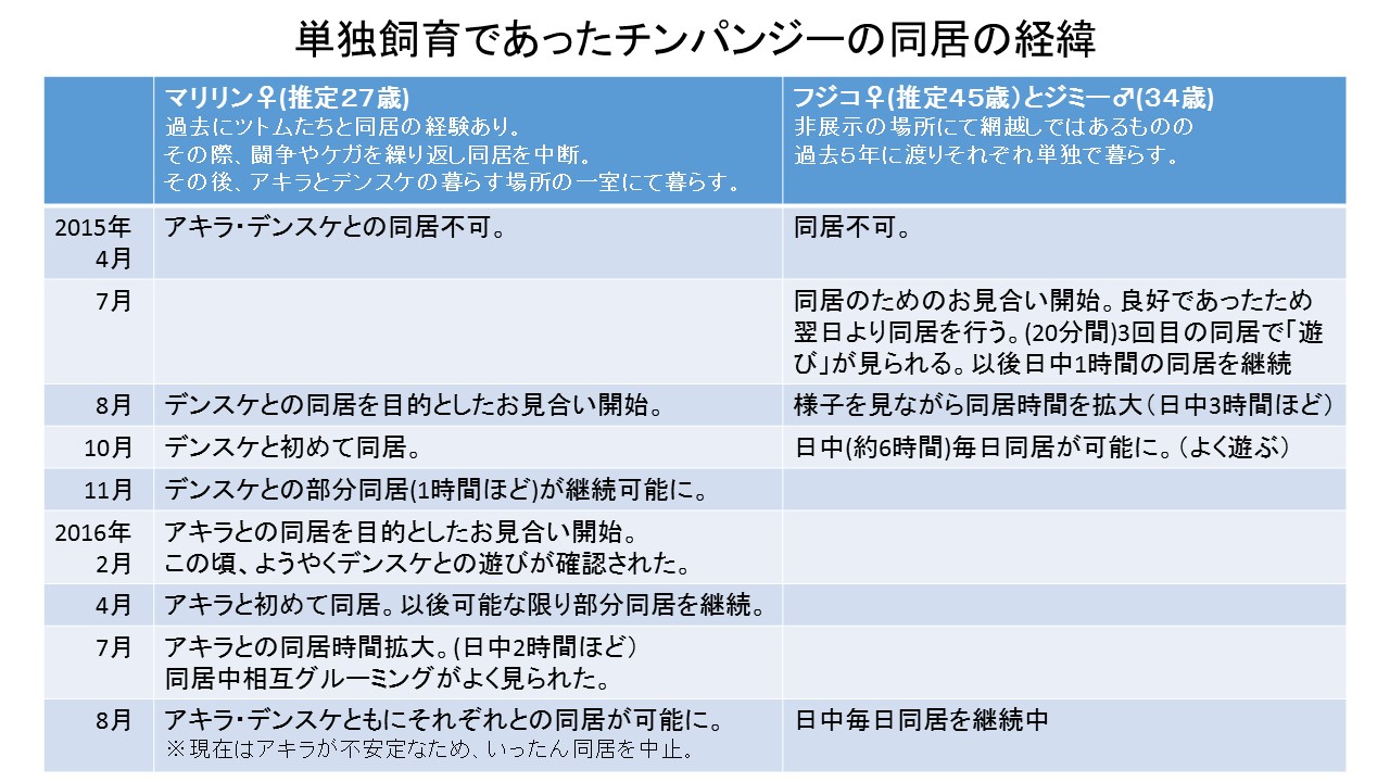 表　チンパンジーの同居の経緯