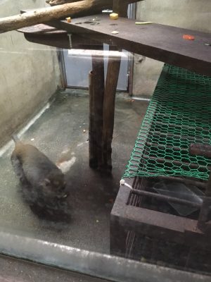 違う角度