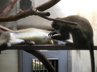 クミとハイチュウ