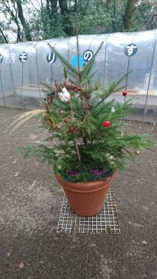 KIDSZOOクリスマス