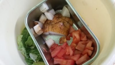 昼食なしトマトとキャベツ