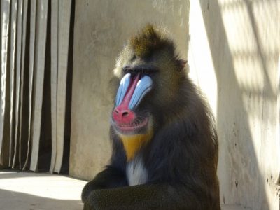 s_dsc07177