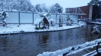 雪のマダガスカル館