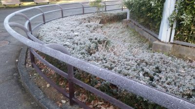 手すりが凍った