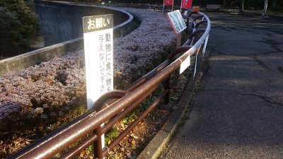 溶け出す手すり