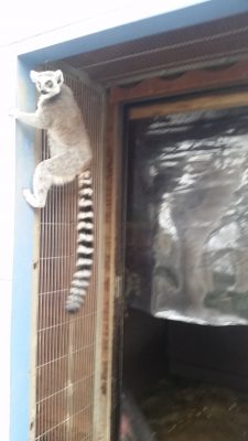 ビニールカーテン