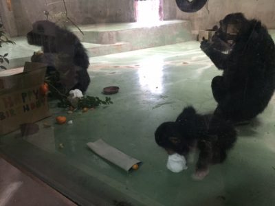 ケーキを食べるツトム2