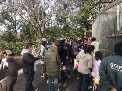 二十歳のお祝い 様子