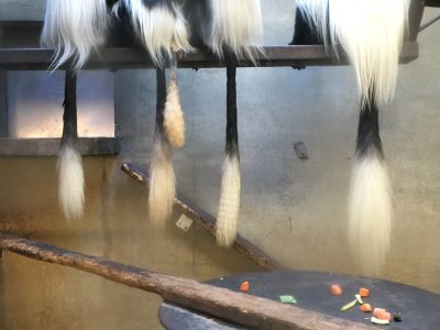 アビシニアコロブスの尻尾