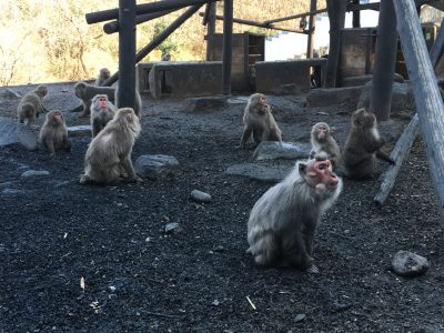 焚き火