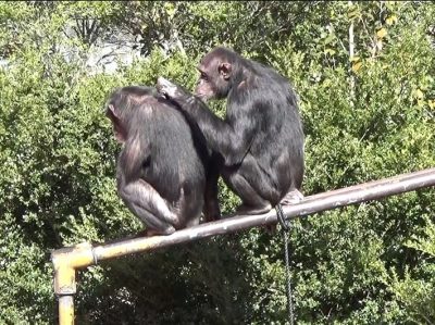 フジコとマリリン5