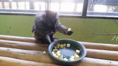 左利きなのか？