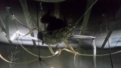 ハンモックから起き出すツトム