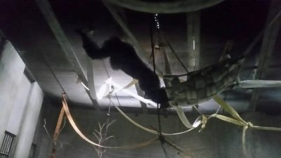 起こしちゃったねツトム