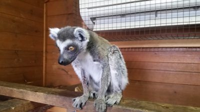 テツお爺ちゃんエアコンの前に