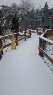 雪積もるWaoランド