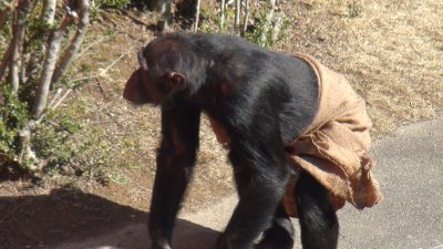 麻袋のパンツ