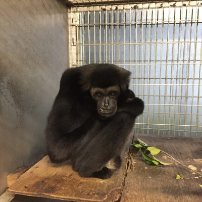 仲良くなってるのか分からないドントさん