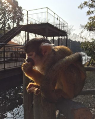 至福のひととき