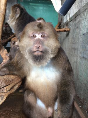 イケメン紹介2 飼育の部屋