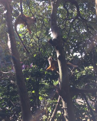 待ってたよ！