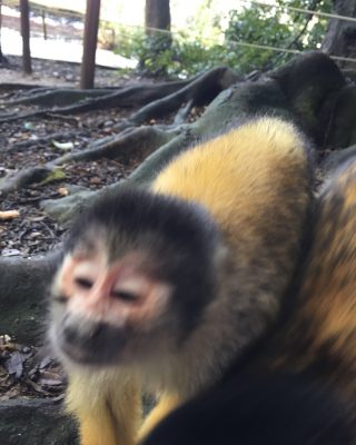 鬼の形相？