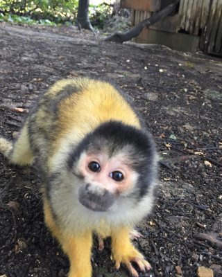 ミカンさん