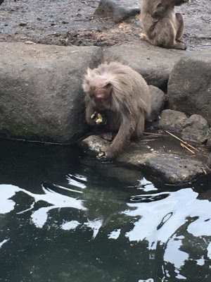 芋を冷やす様子