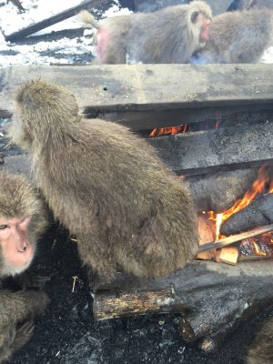 お尻が燃えるよ
