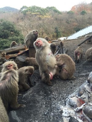 焚き火にあたるタイマツ