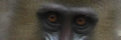 サンフジ