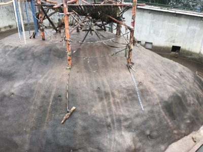 ヒヒの城ガラガラ